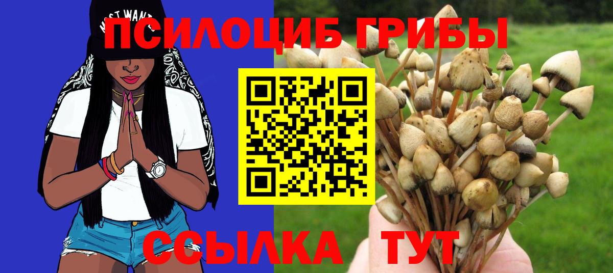 Галлюциногенные грибы мицелий  Псилоцибиновые грибы Cubensis  Вход с VPN  Гуково 